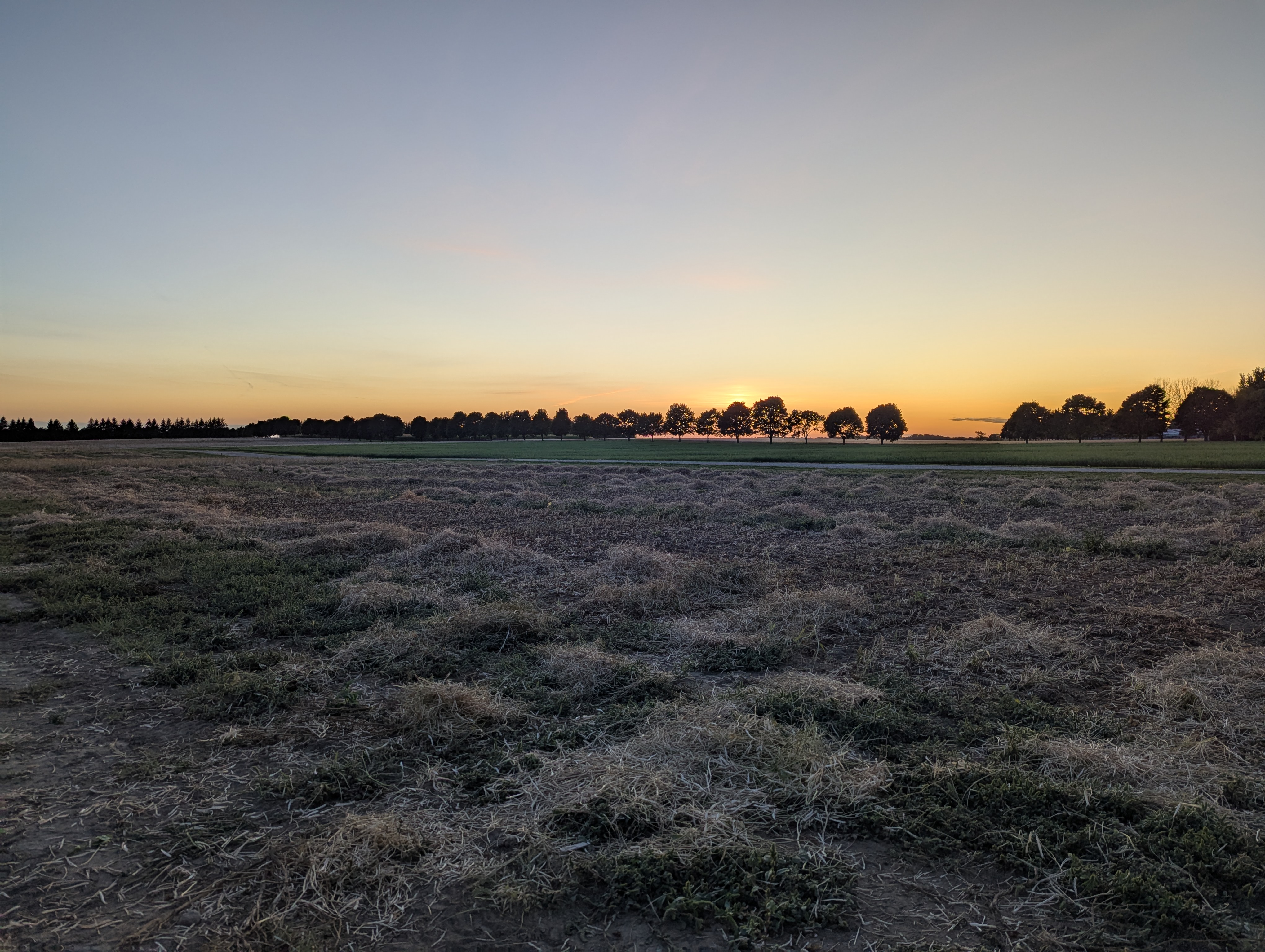Harvesting
